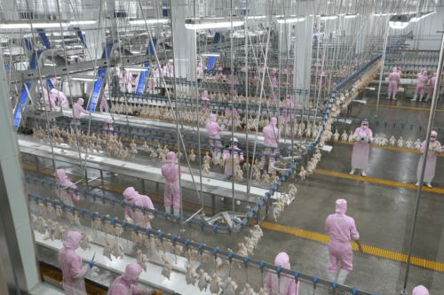 援產業扶智脫貧 促團結穩定邊疆——首都國企援疆餐飲管理工作紀實